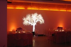 REALISTIC TREE